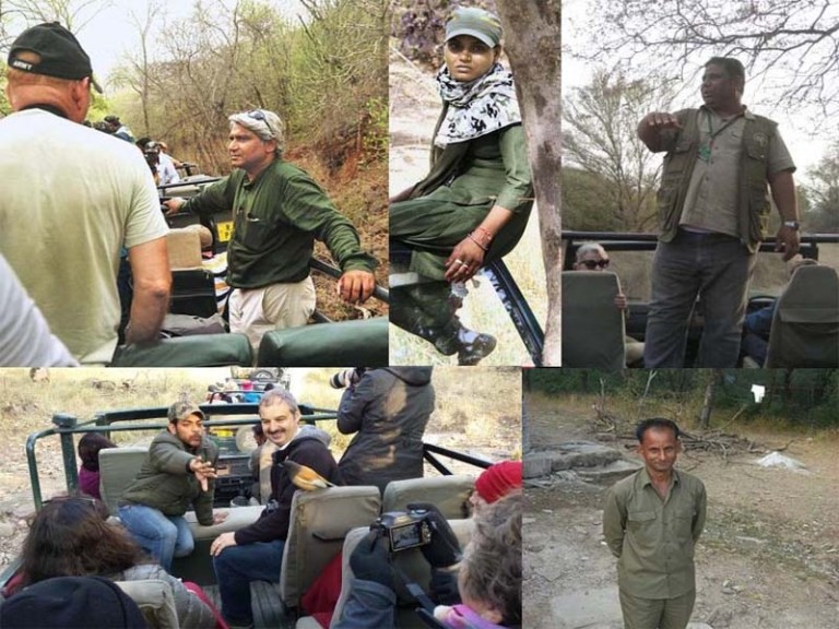 Ranthambore Safari guide