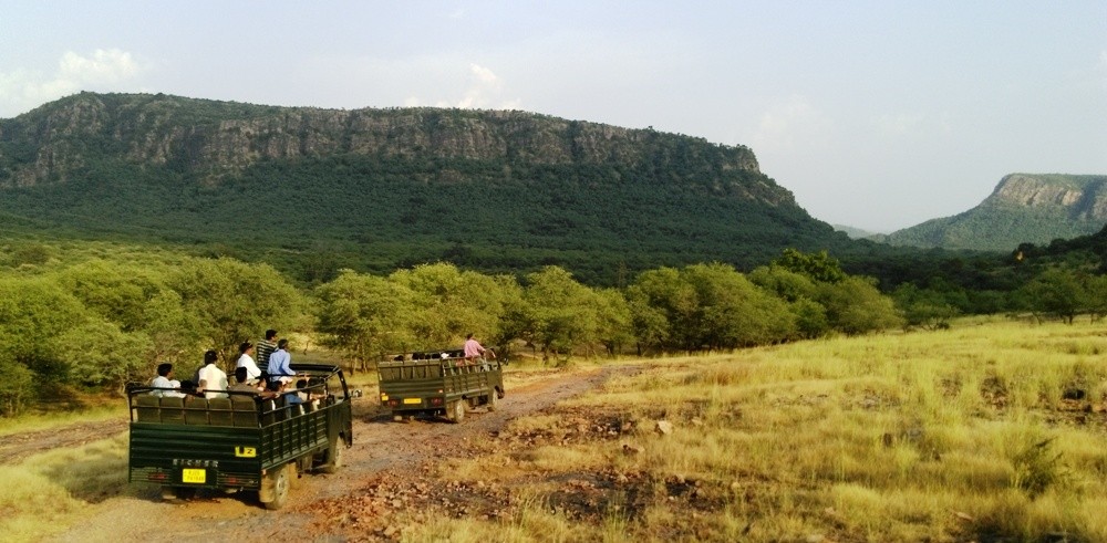 Ranthambore Safari_121