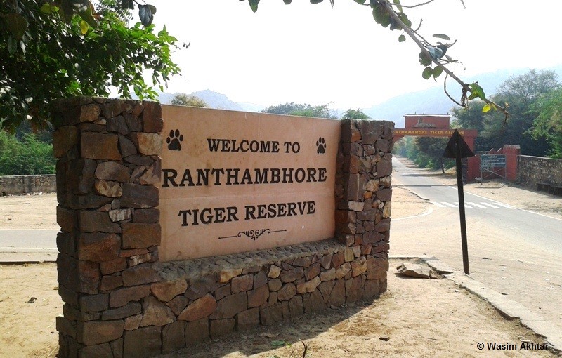 Ranthambore Tiger Reserve-1-1