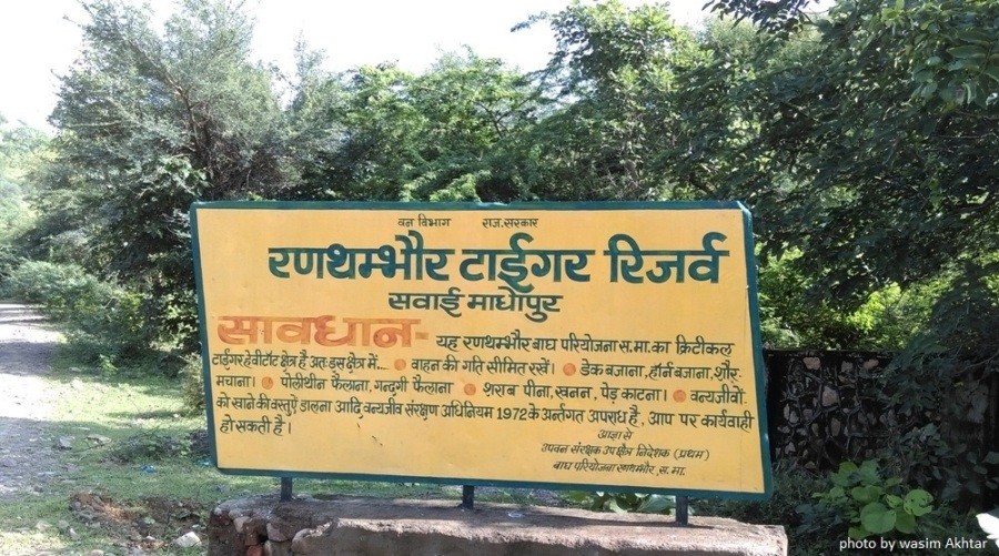 Ranthambore Tiger Reserve_11