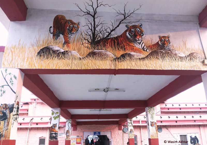 Ranthambore art at sawai Madhopur railway station