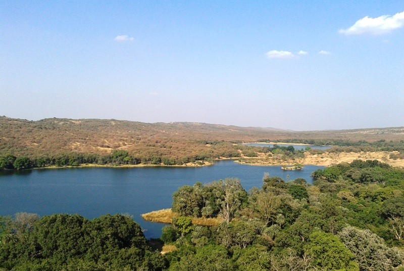 Ranthambore lakes