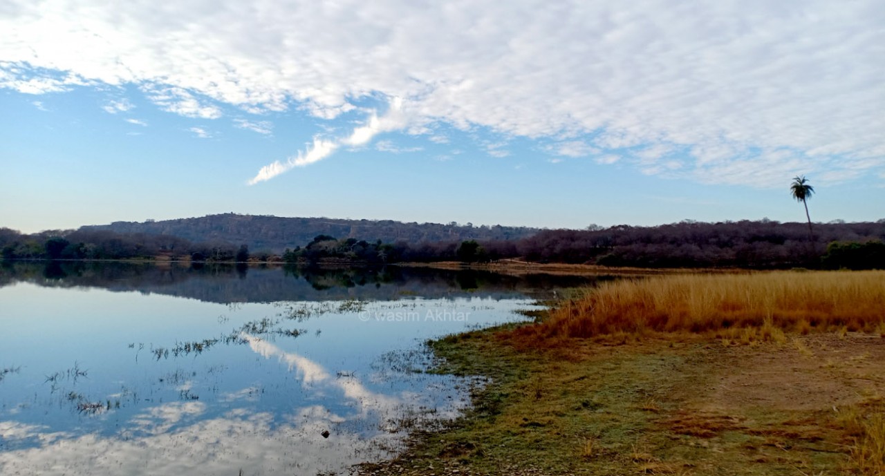 Ranthambore national Park lake