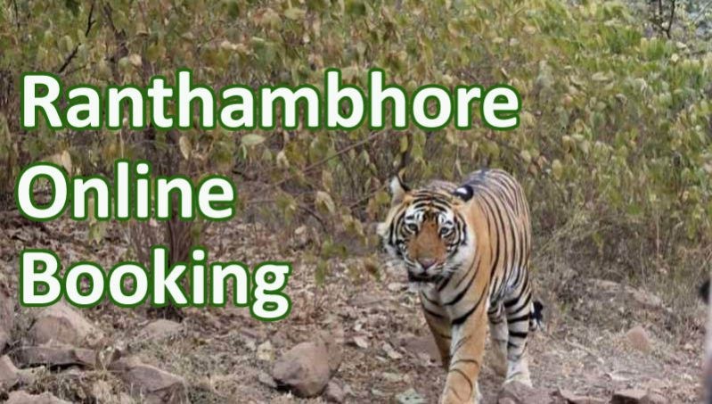 Ranthambore online Booking_inform