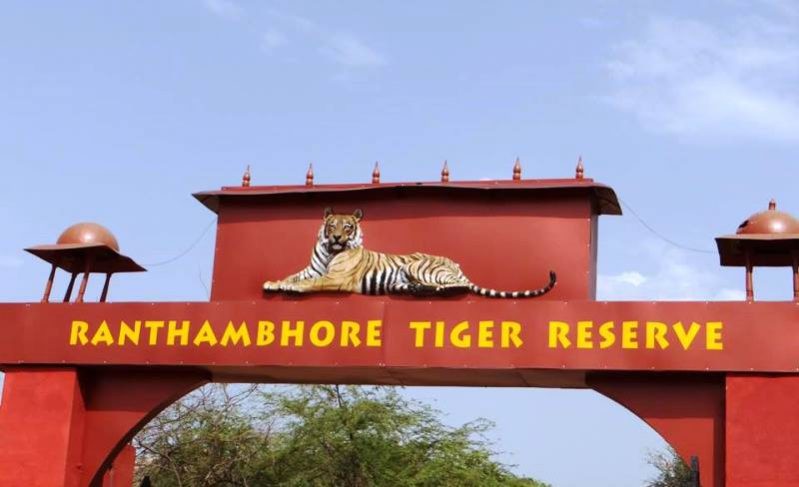 Ranthambore online safari booking