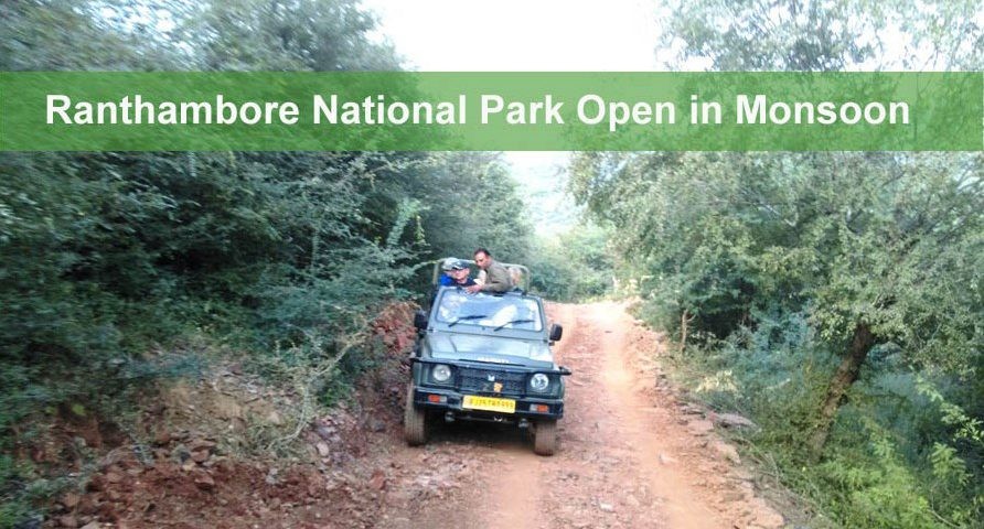Ranthambore open in monsoon