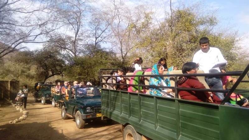 Ranthambore safari rates