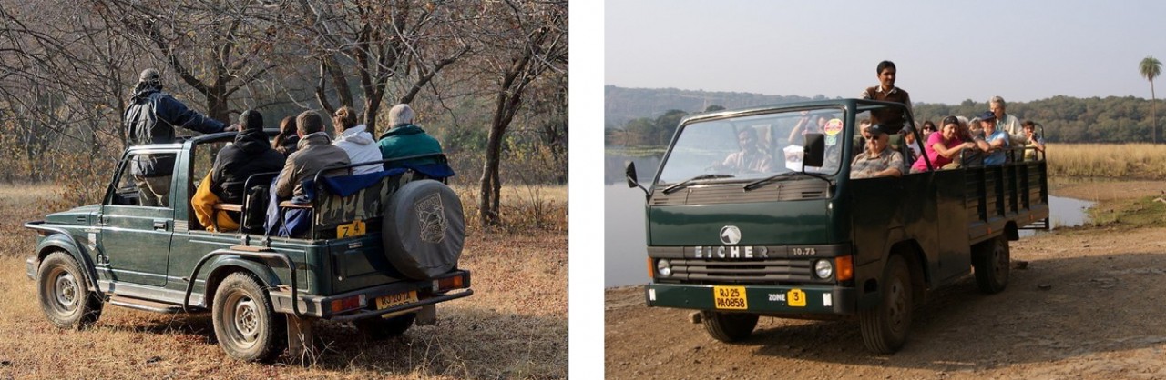 Ranthambore safari vehicles_01