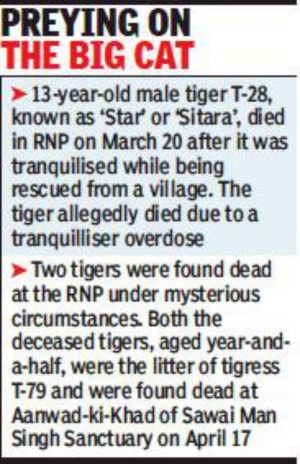 Ranthambore tiger death story