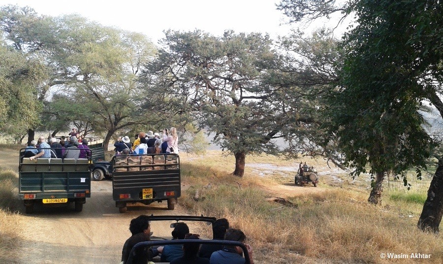 Ranthambore tiger safari tour