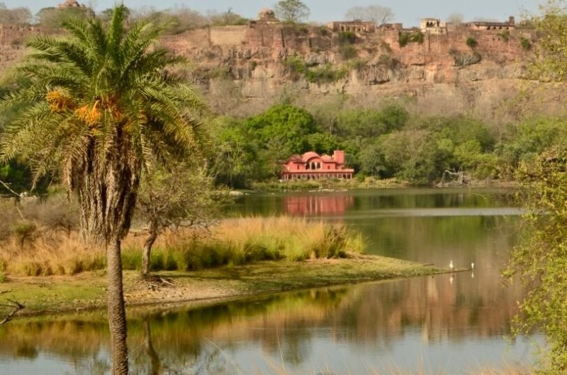 Ranthambore wildlife_1