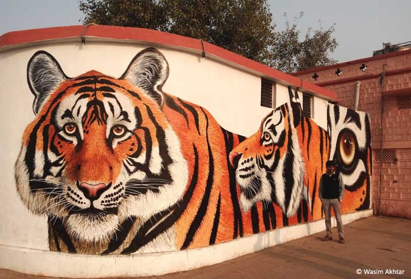 Tiger paintings at sawai Madhopur railway Station
