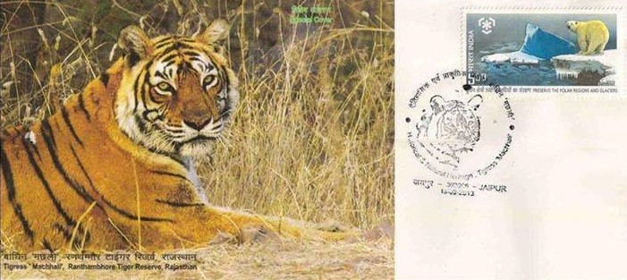 Tigress Machli Stamp