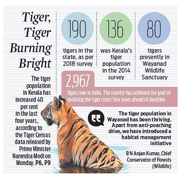 Tigress_a