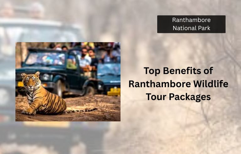 Top Benefits of Ranthambore Wildlife Tour Packages