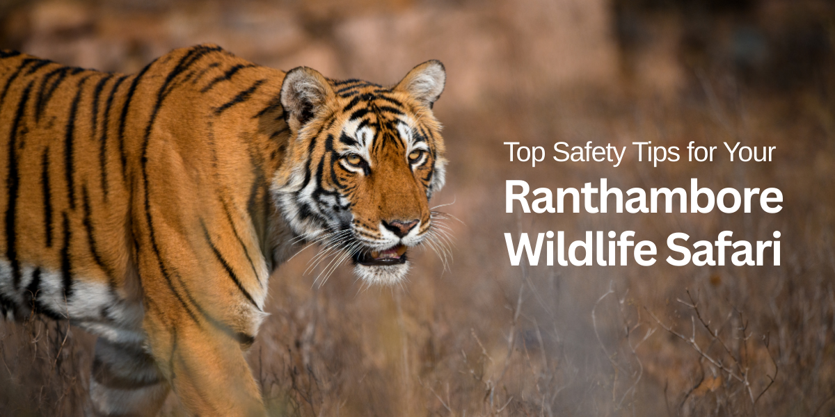 Top Safety Tips for Your Ranthambore Wildlife Safari