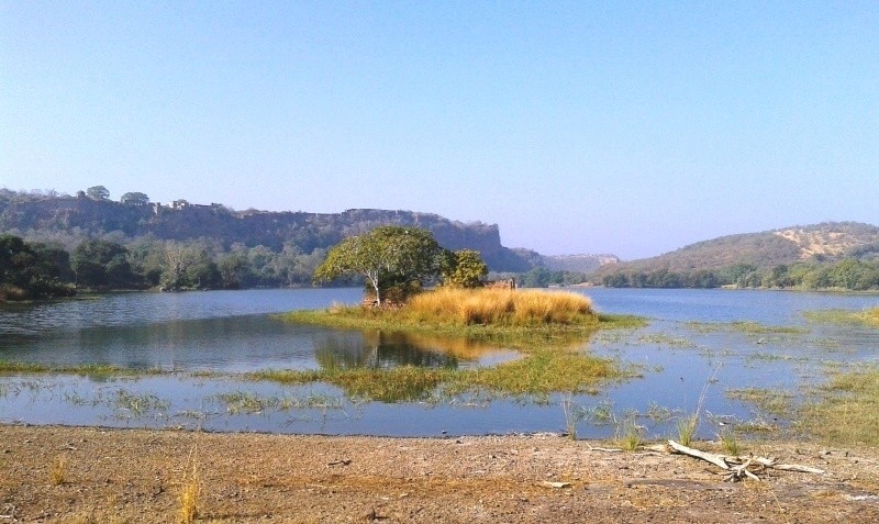 View of the Ranthambore National park
