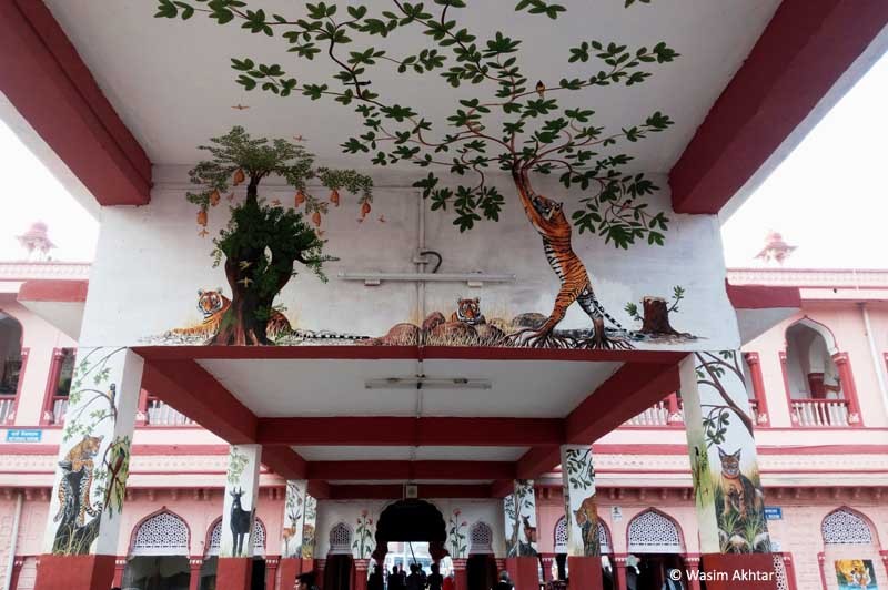 Wildlife paintings Ranthambhore Railway station sawai Madhopur