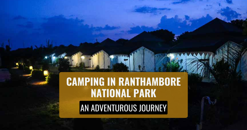 Camping in Ranthambore National Park: An Adventurous Journey