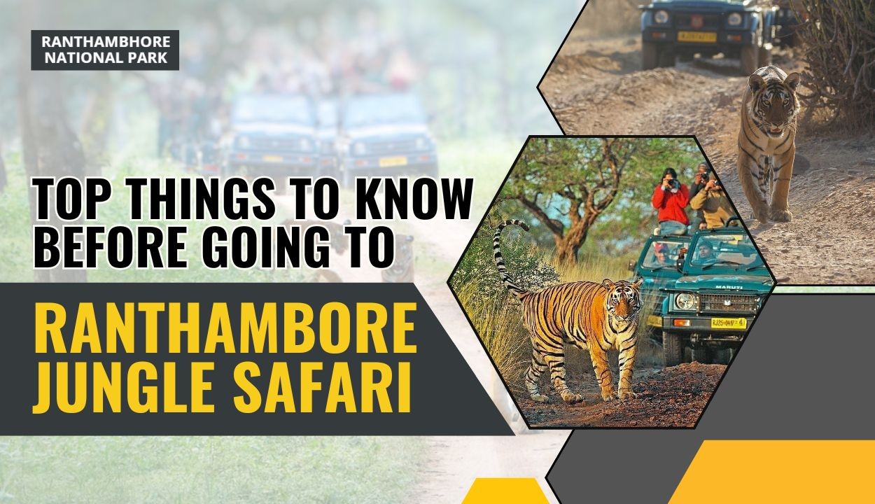 Things to Know Before Going to Ranthambore Jungle Safari