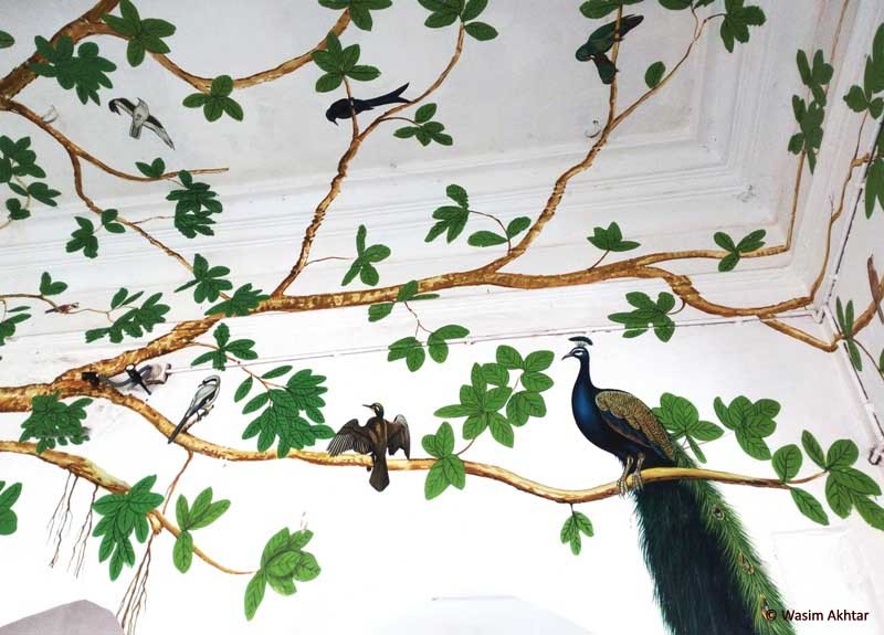birds in ranthambore painting railway station