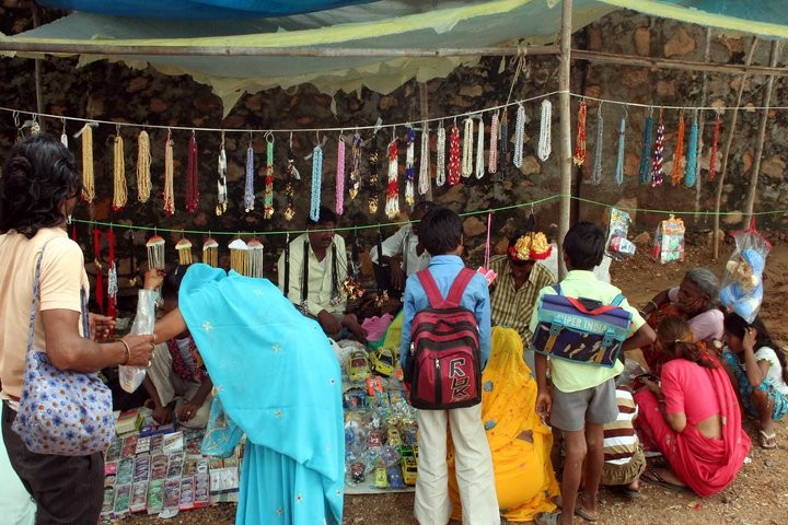 festival in ranthambore