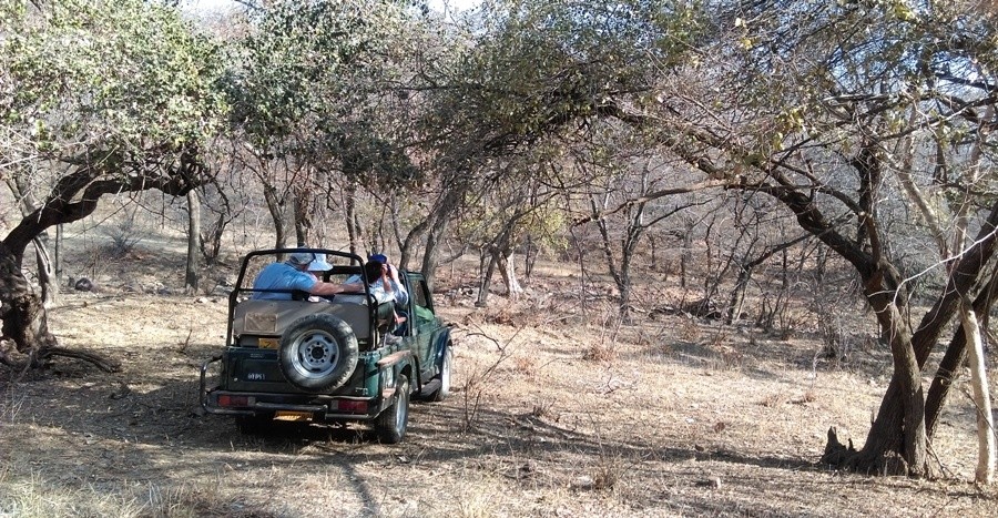 jeep safari in ranthambore_1