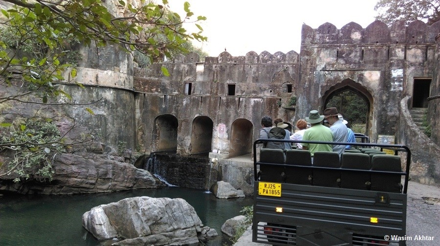 ranthambore Canter safari