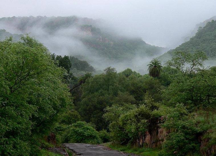 ranthambore in monsson_1