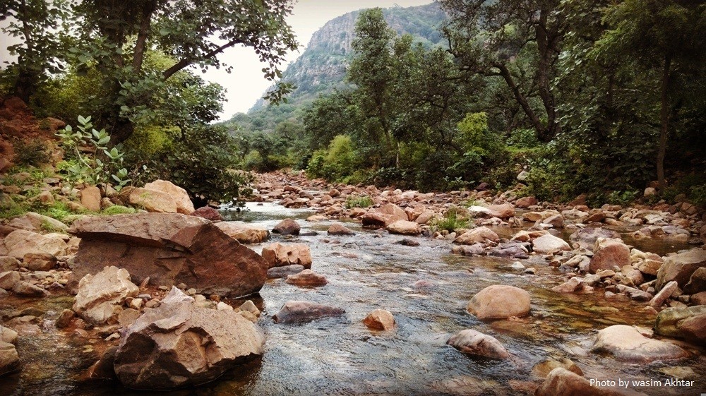 ranthambore monsoon visit