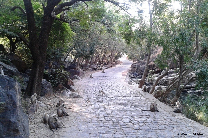 ranthambore raod