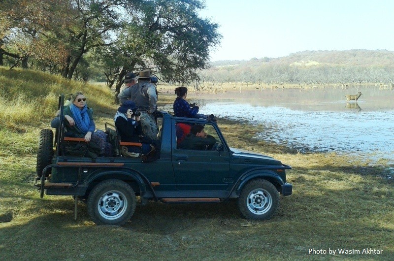 ranthambore safari by jeep