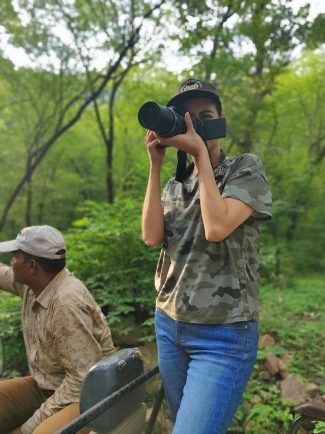 ranthambore wildlife photography