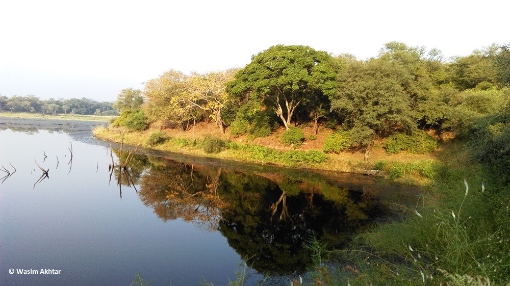 water_3