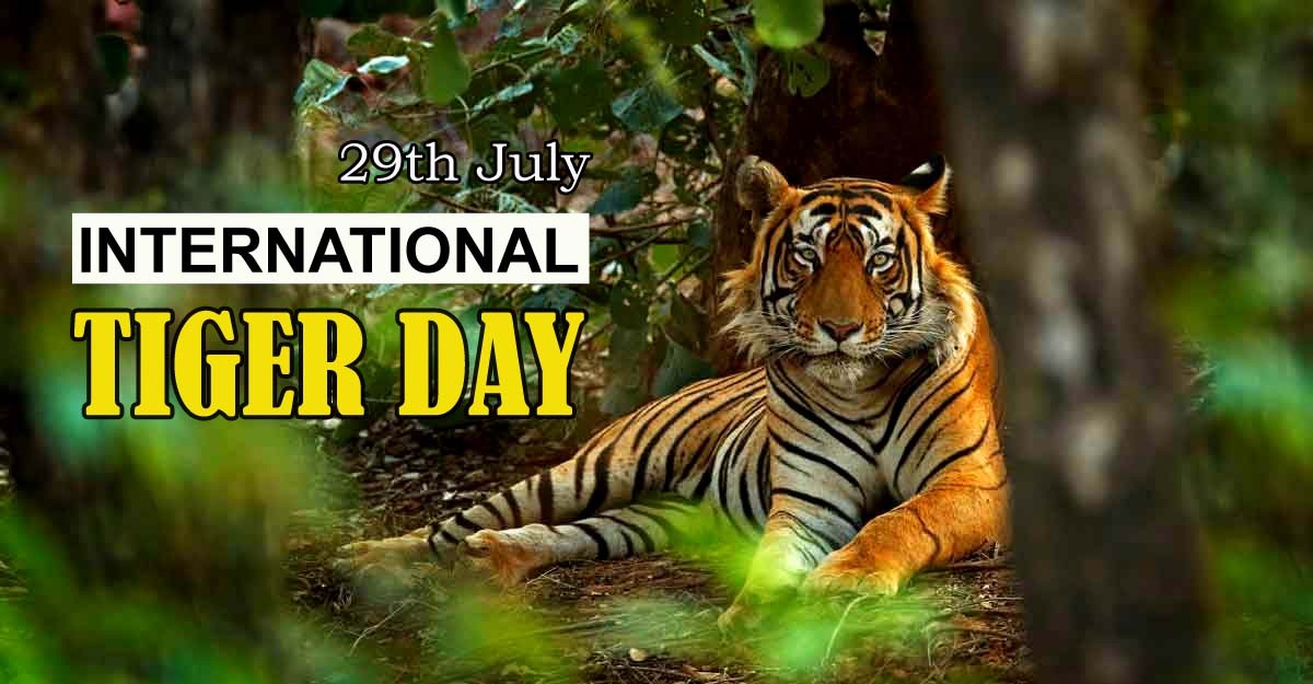 Roaring Conservation: International Tiger Day 2023 in India