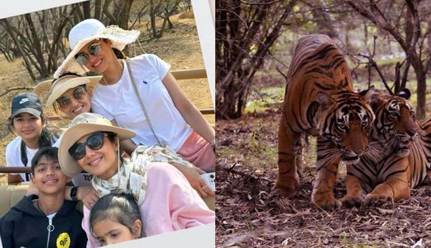 Bollywood Actress Shilpa Shetty's Wild Expedition: An exciting safari in Ranthambore, Rajasthan, spotting tigers and other wildlife