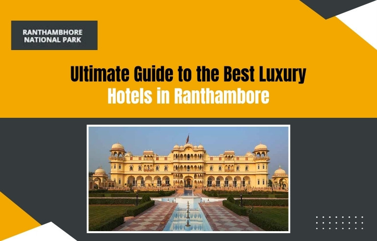 Ultimate Guide to the Best Luxury Hotels in Ranthambore