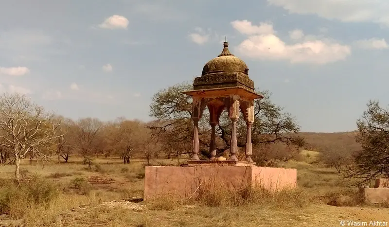 Ranthambore Weekend Tour Package