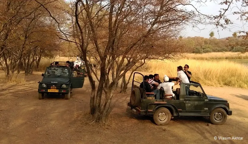 Jaipur to Ranthambore Tour Package