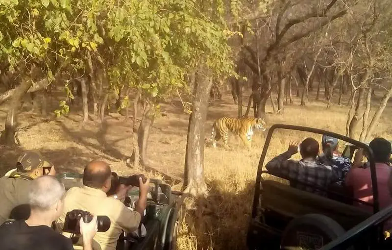 Ranthambore Weekend Tour Package