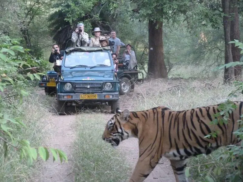 Jaipur to Ranthambore Tour Package