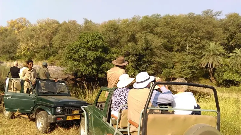 Kota to Ranthambore Tour Package