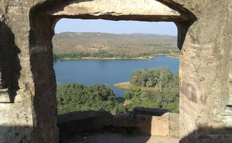 Ranthambore Monsoon Package