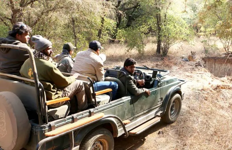 Ranthambore Weekend Tour Package