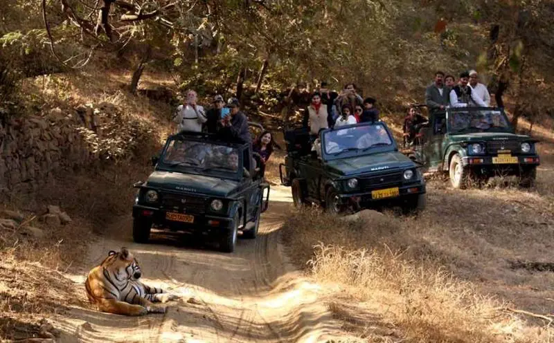 Ranthambore Monsoon Package