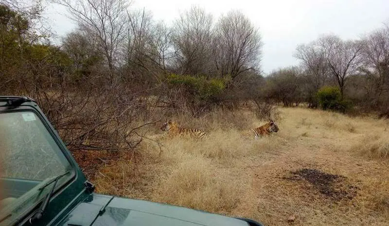 Ranthambore Monsoon Package