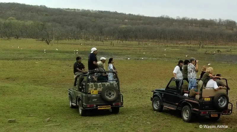 Kota to Ranthambore Tour Package