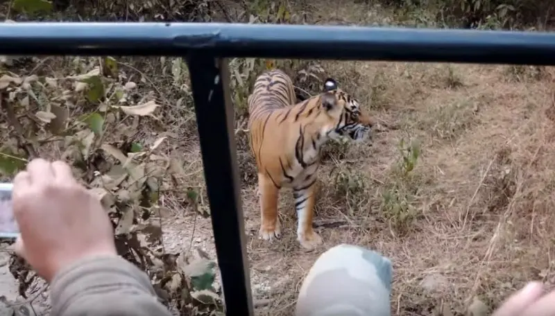 Jaipur to Ranthambore Tour Package