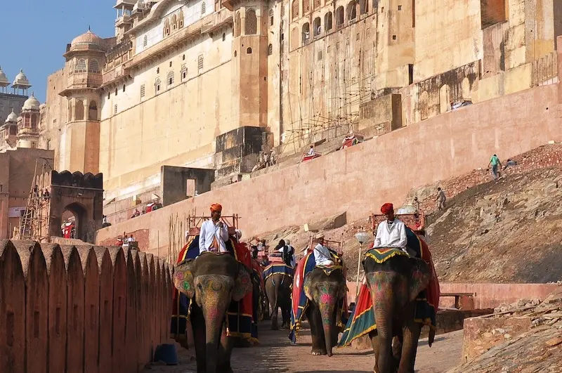 Ranthambore Weekend Tour Package