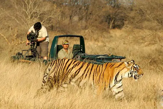 Jaipur to Ranthambore Tour Package